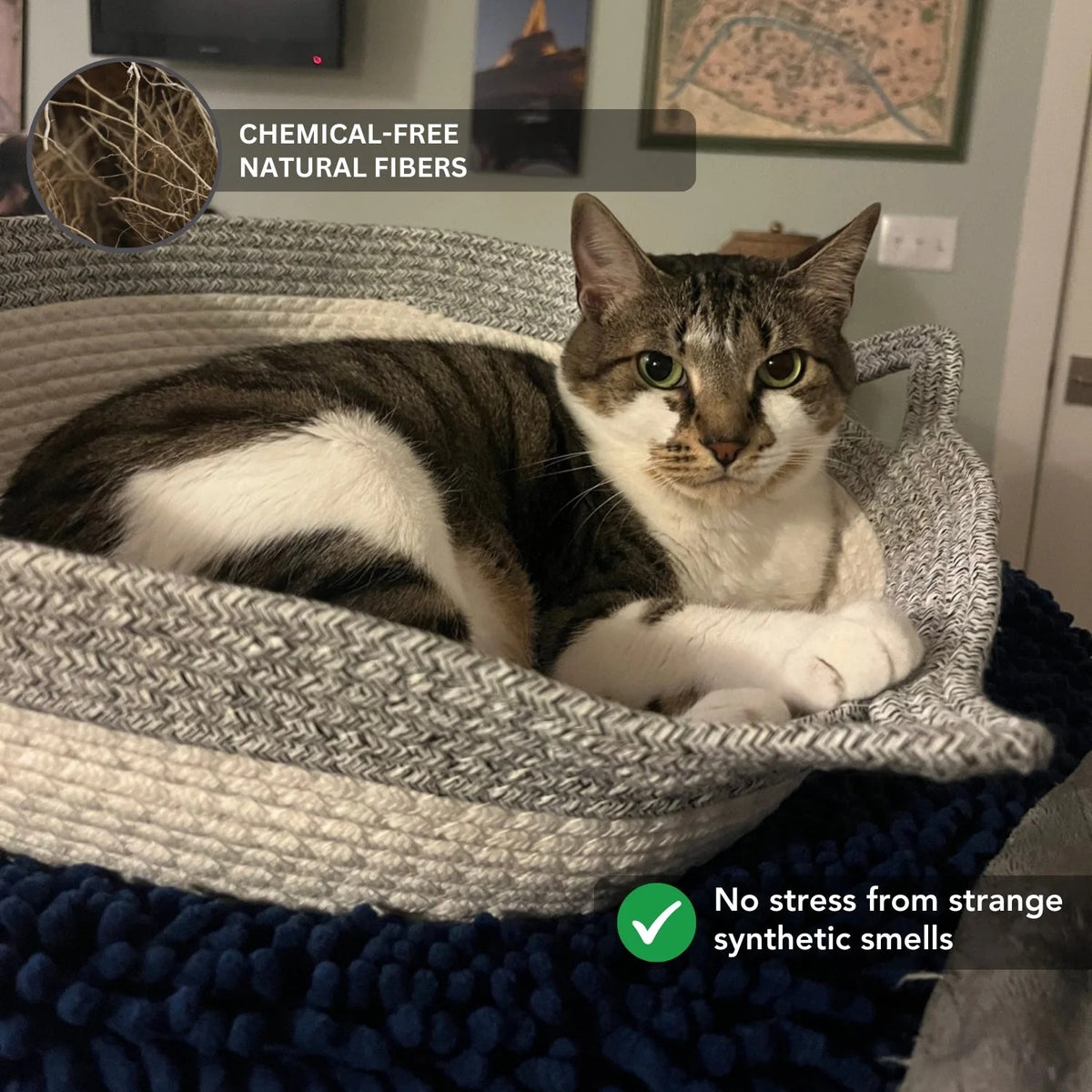 Natural Rope Cat Basket Bed