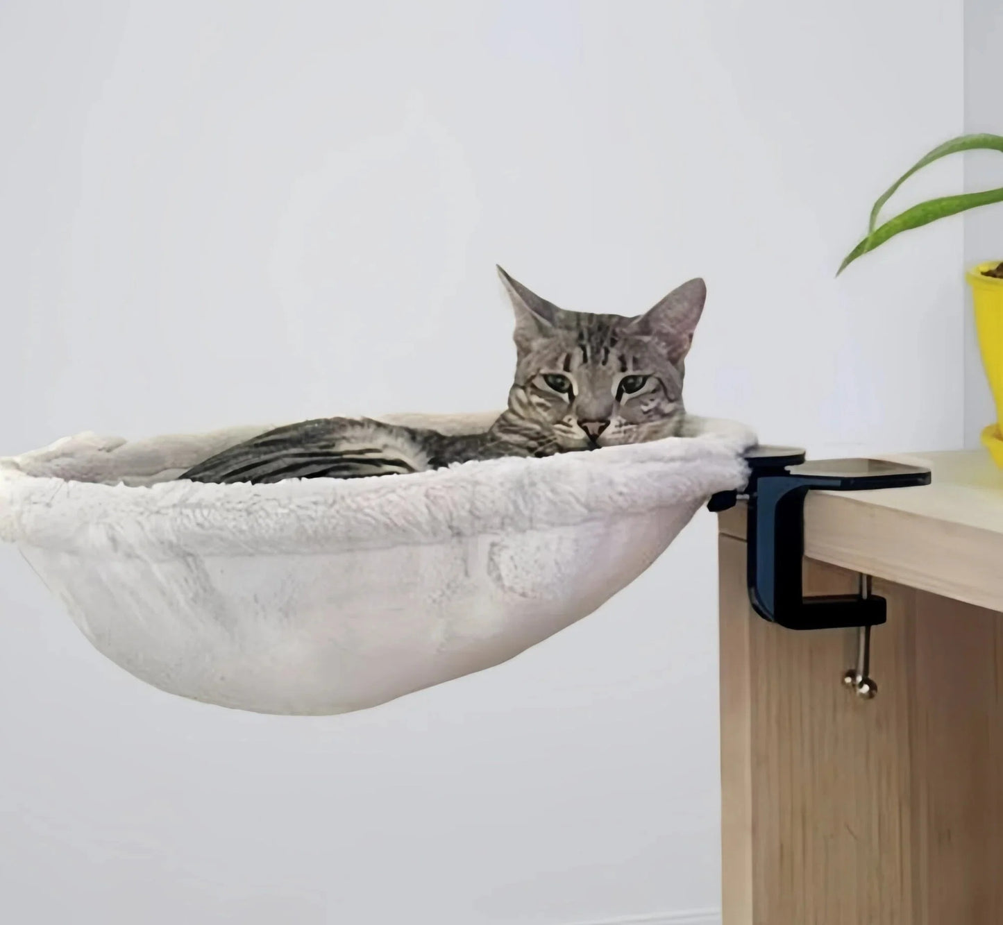 Cat Desk Bed
