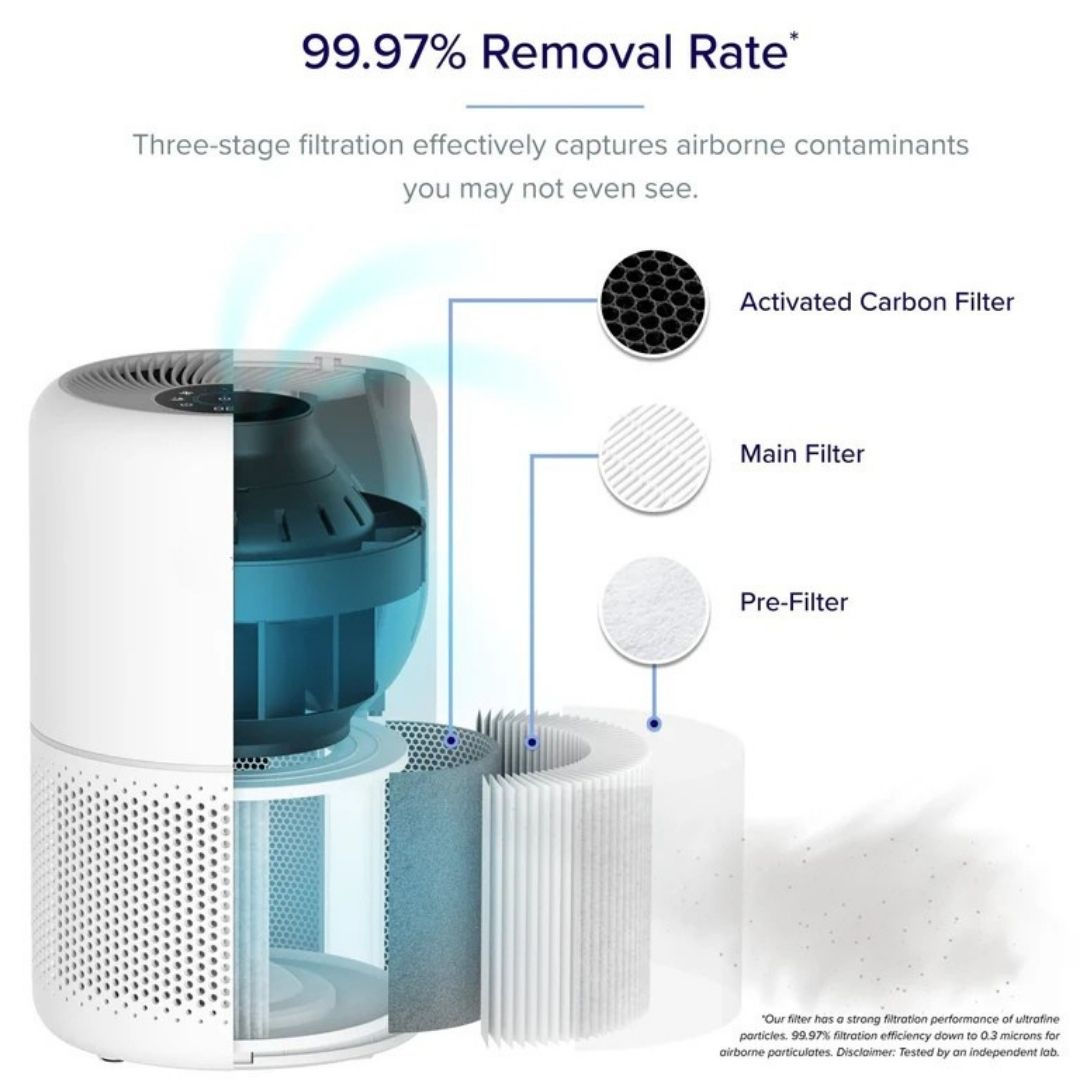 Air Purifier for Home Allergies Pets Hair in Bedroom