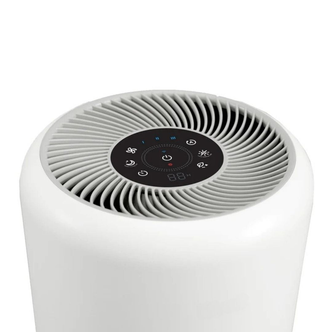 Air Purifier for Home Allergies Pets Hair in Bedroom