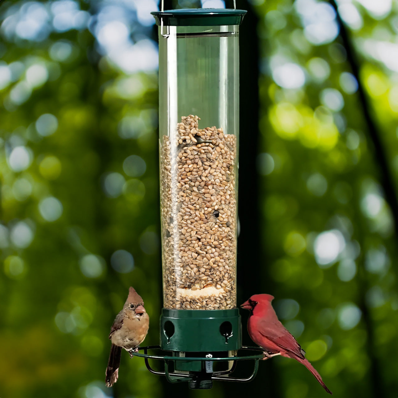 Squirrel Proof Bird Feeder with Spinning Tray - QerLight