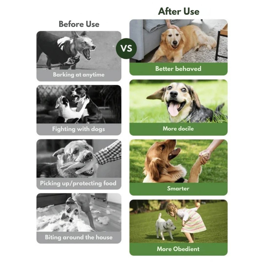 Smart Dog Training Collar & Remote Control