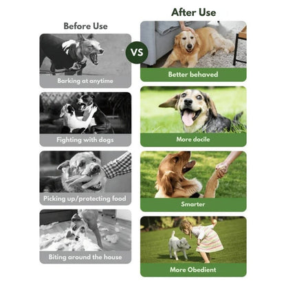 Smart Dog Training Collar & Remote Control