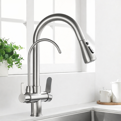 Kitchen Faucet with Filtered Water System