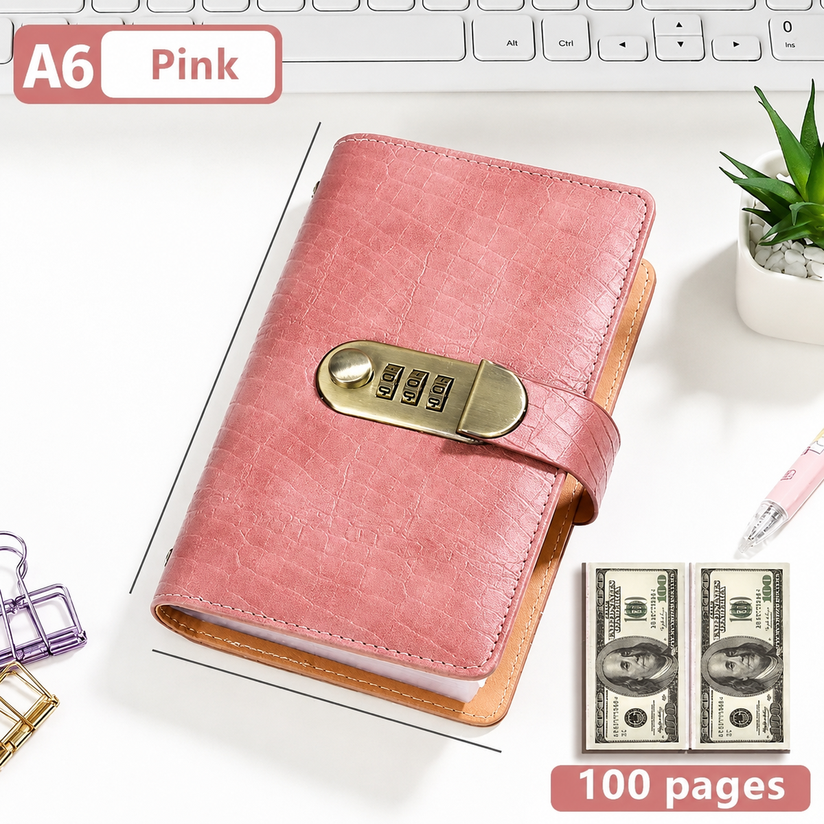 100-Pocket Currency Collectors Wallet