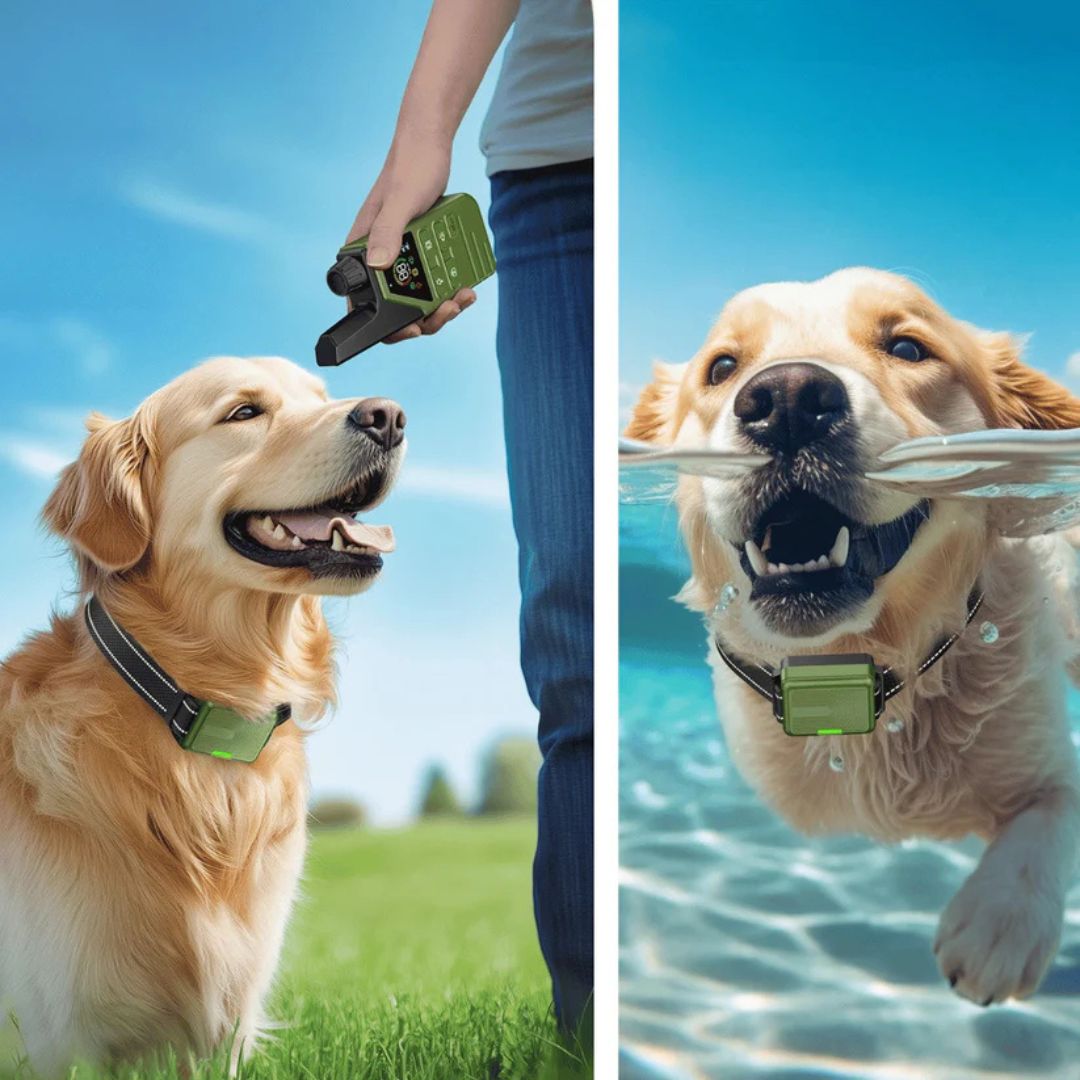 Smart Dog Training Collar & Remote Control