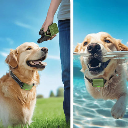 Smart Dog Training Collar & Remote Control