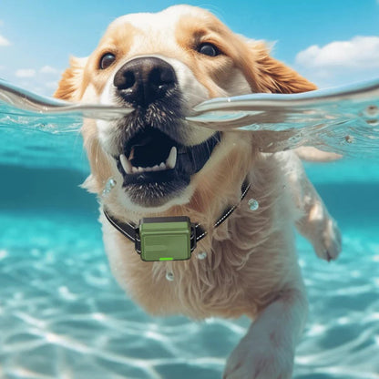 Smart Dog Training Collar & Remote Control