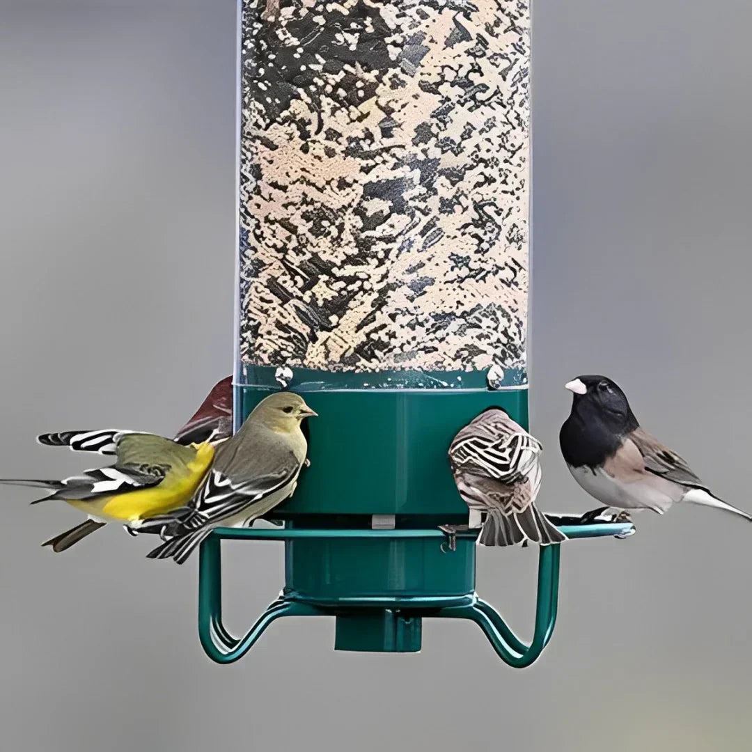 Squirrel Proof Bird Feeder with Spinning Tray