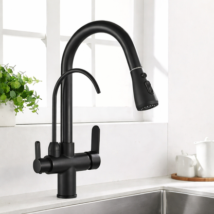 Kitchen Faucet with Filtered Water System