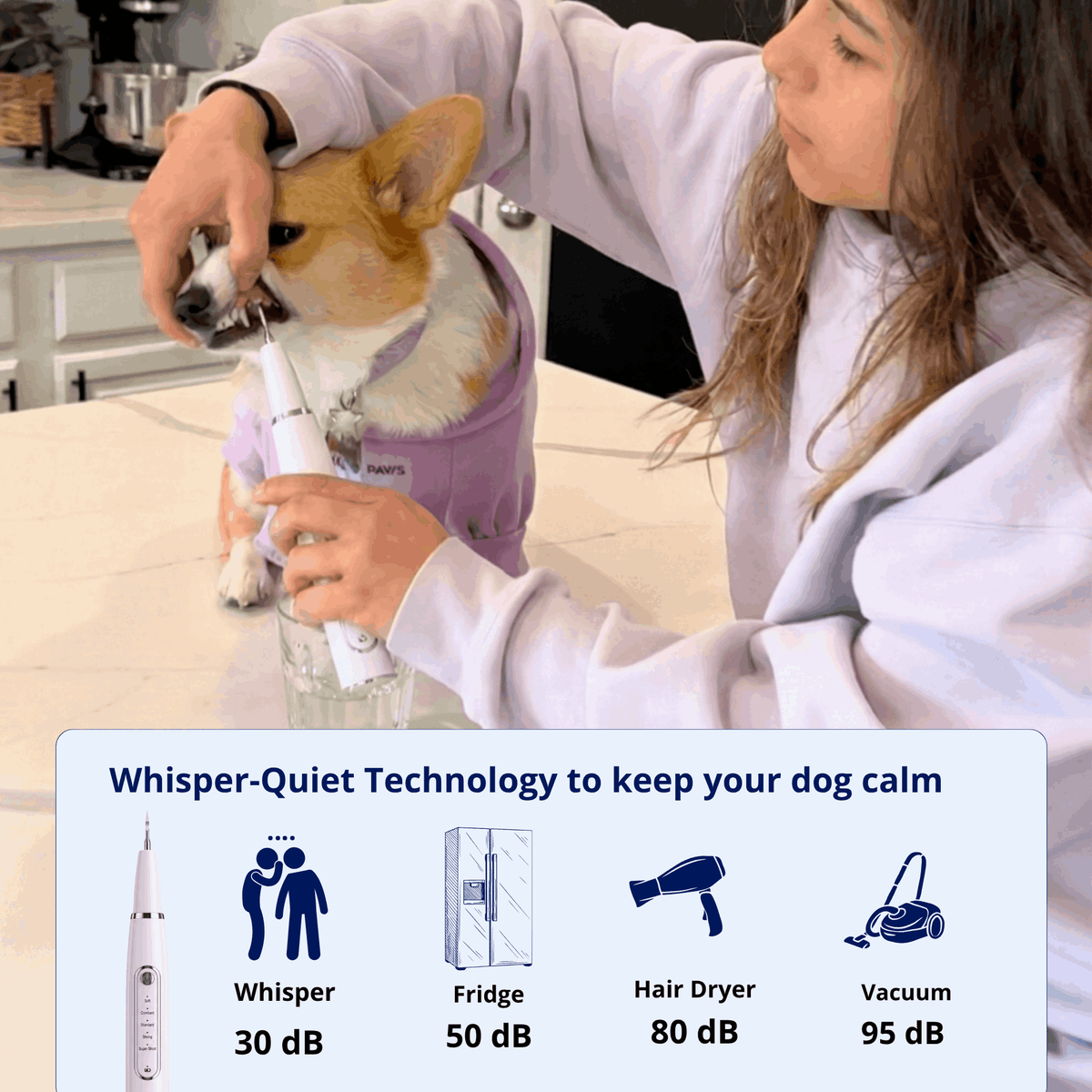 Ultrasonic Pet Tartar Remover
