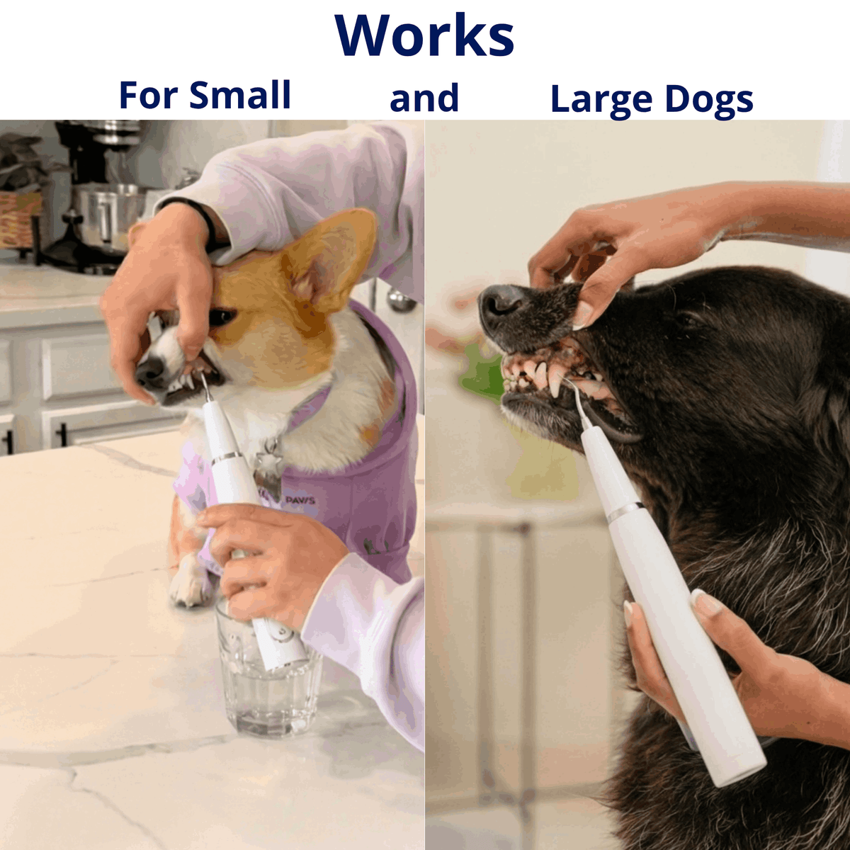 Ultrasonic Pet Tartar Remover