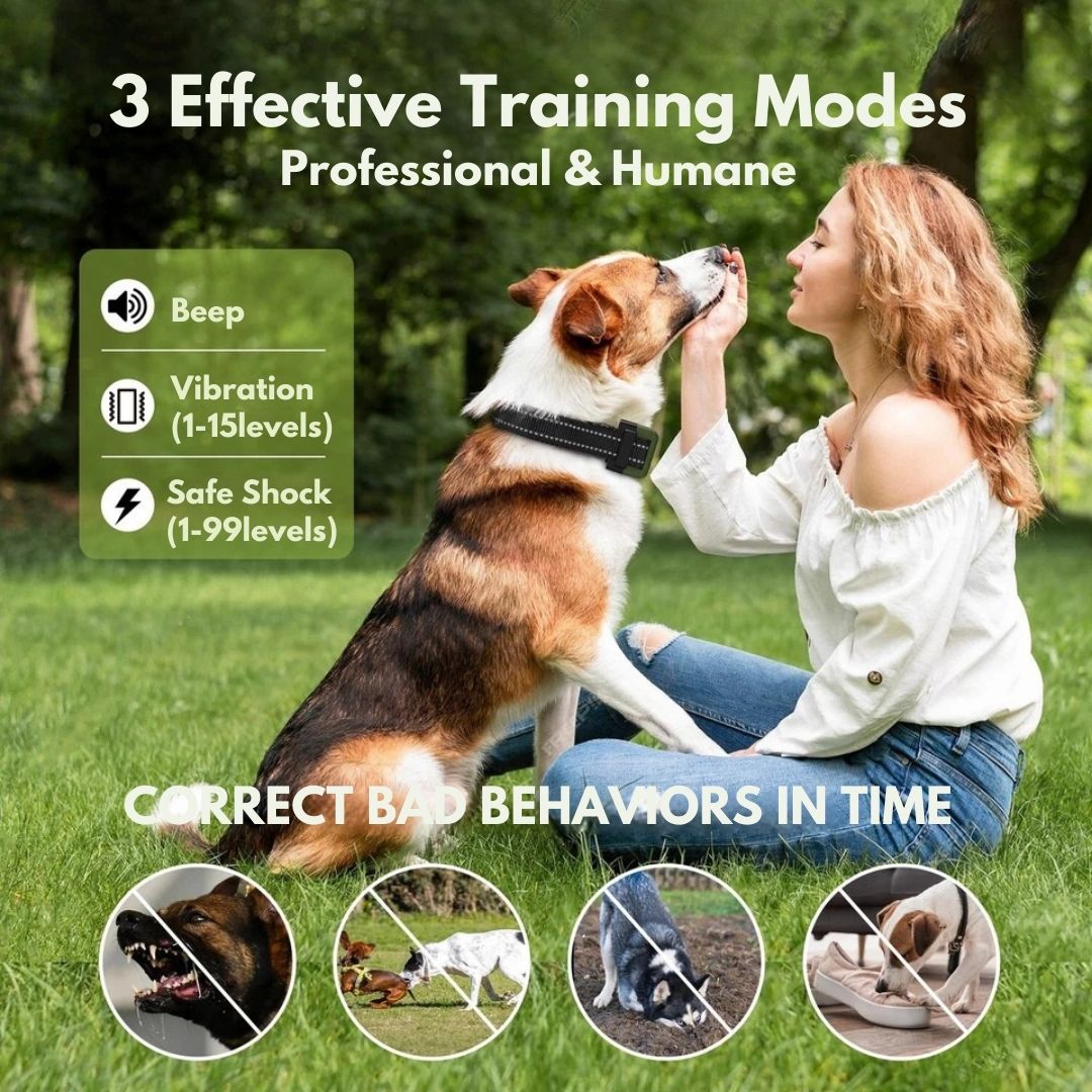 Smart Dog Training Collar & Remote Control
