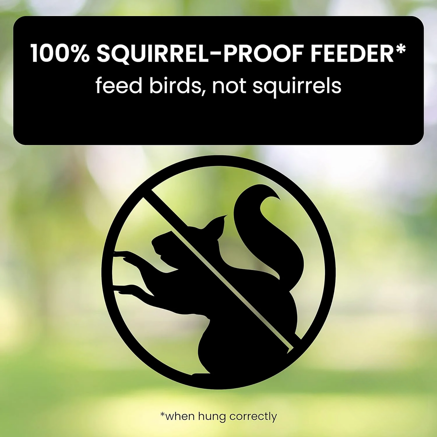 Squirrel Proof Bird Feeder with Spinning Tray
