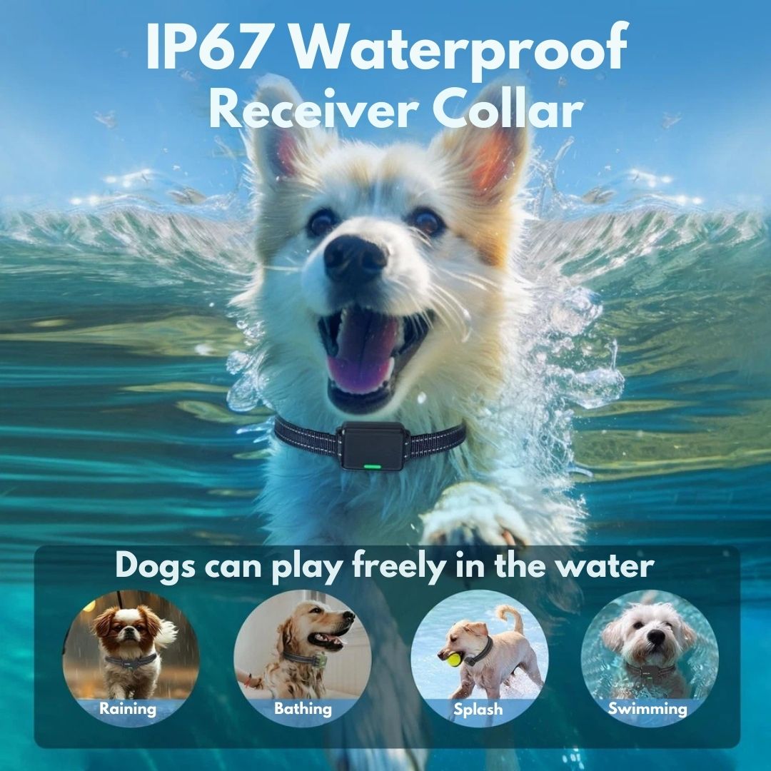 Smart Dog Training Collar & Remote Control