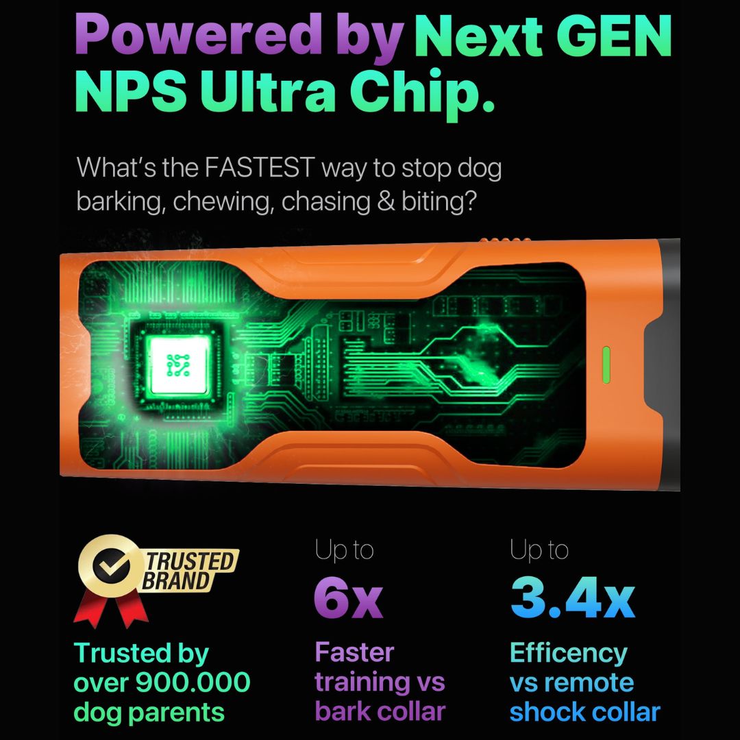 Ultimate Anti-Barking Device For Peaceful and Quiet Dogs