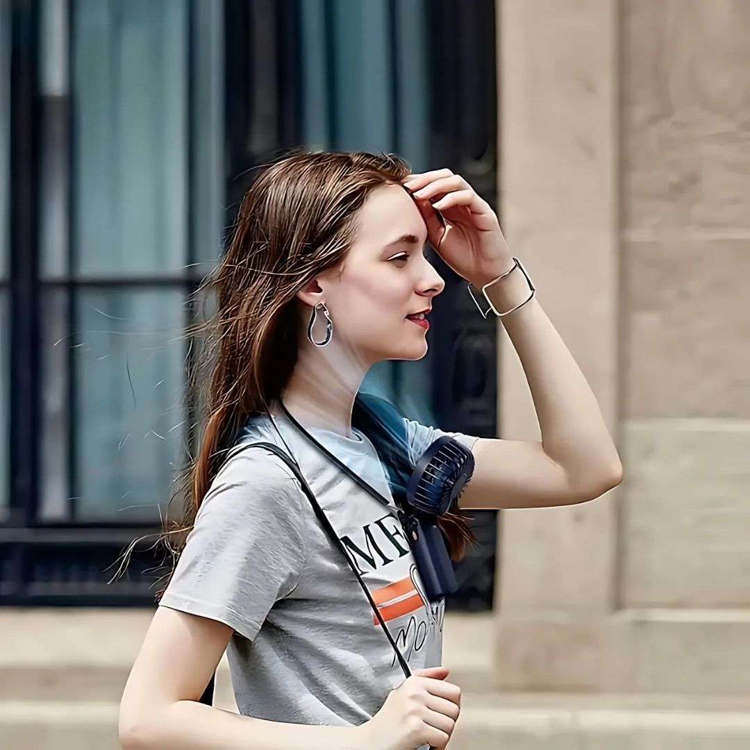 Rechargeable Handheld Fan