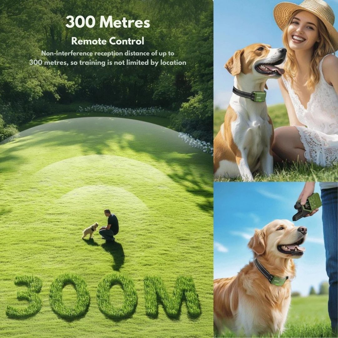 Smart Dog Training Collar & Remote Control