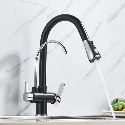 Kitchen Faucet with Filtered Water System