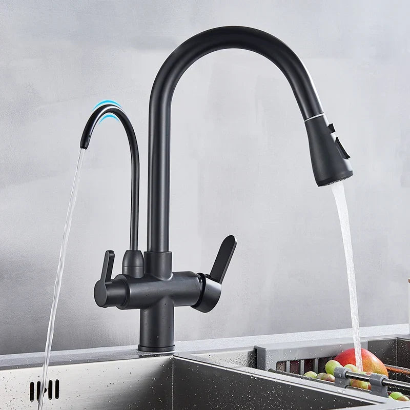 Kitchen Faucet with Filtered Water System