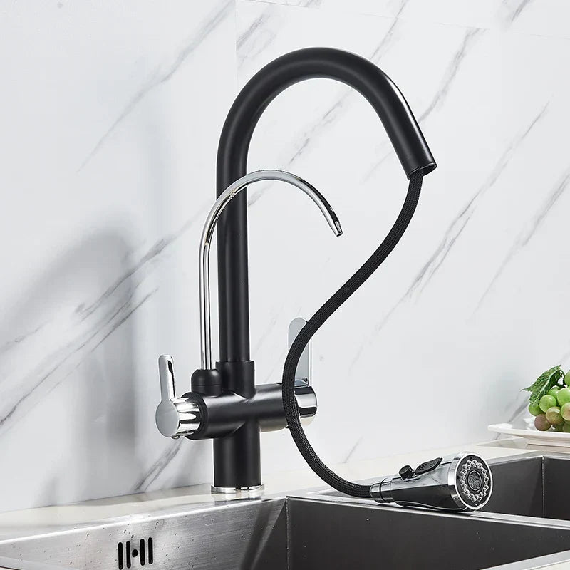 Kitchen Faucet with Filtered Water System