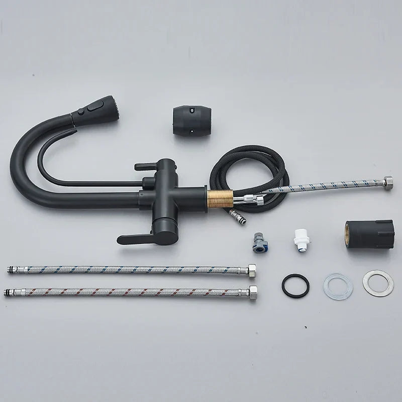 Kitchen Faucet with Filtered Water System