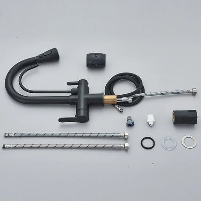 Kitchen Faucet with Filtered Water System