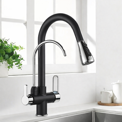 Kitchen Faucet with Filtered Water System