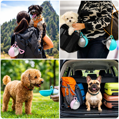 Portable Dog Water Bottle