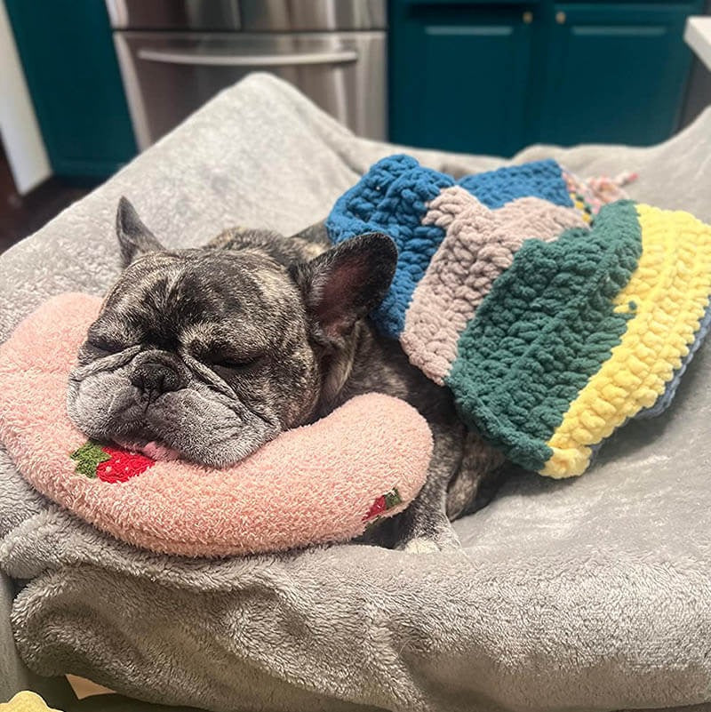 Calming Pet Pillow