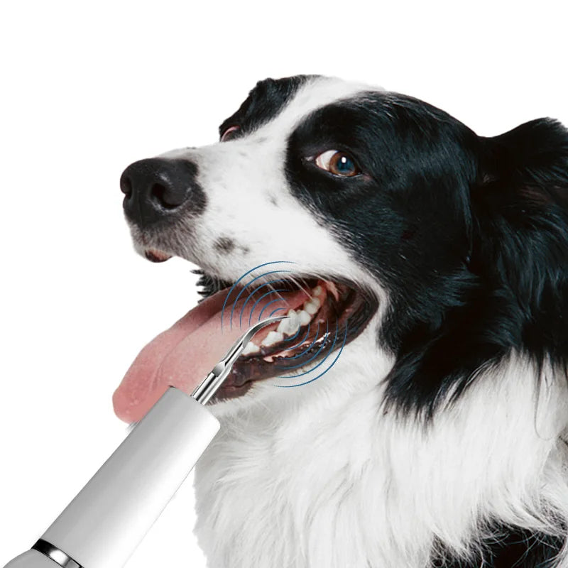 Ultrasonic Pet Tartar Remover
