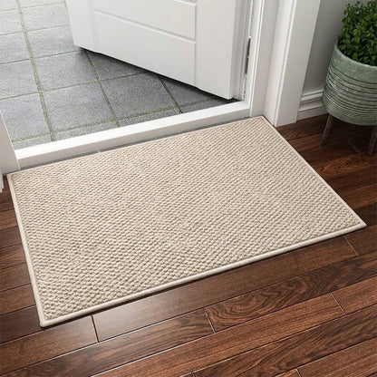 Non-Slip Indoor Door Mat