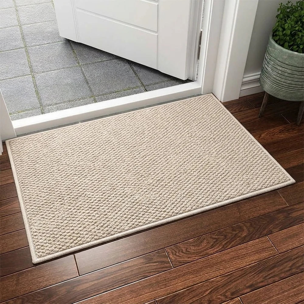 Non-Slip Indoor Door Mat